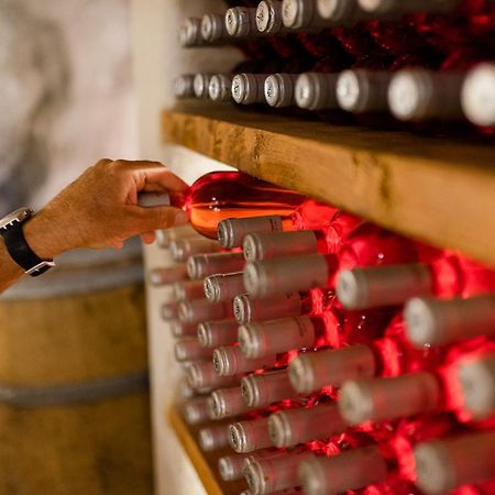 Kostantakis Winery Estate Guest House Pollonia ภายนอก รูปภาพ