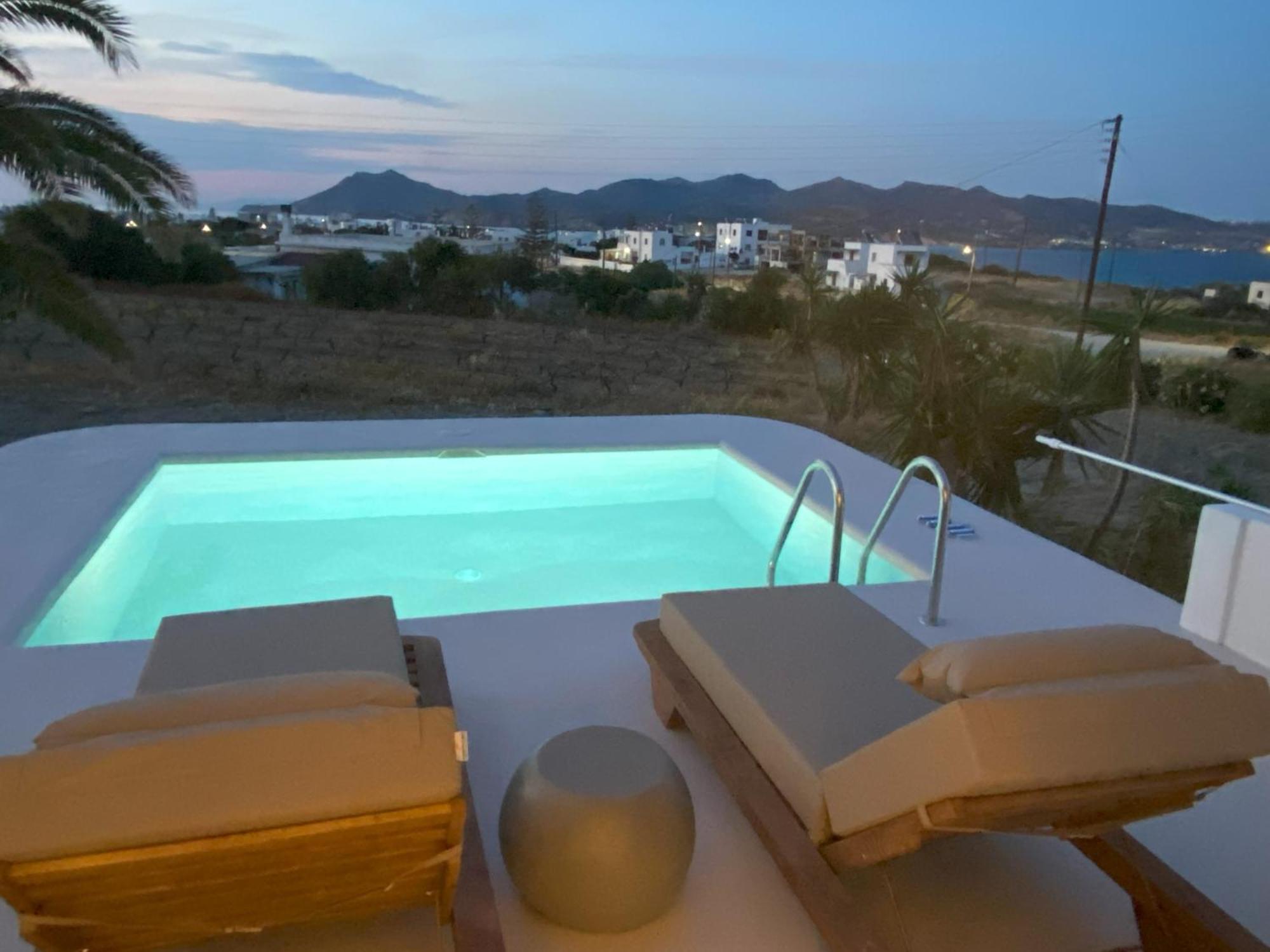 Kostantakis Winery Estate Guest House Pollonia ภายนอก รูปภาพ