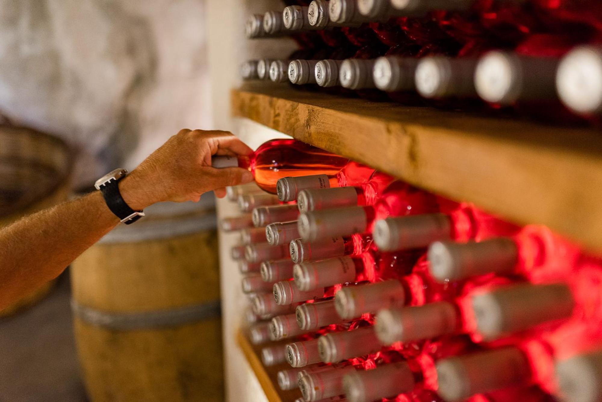 Kostantakis Winery Estate Guest House Pollonia ภายนอก รูปภาพ