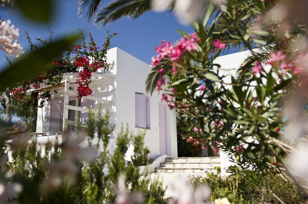 Kostantakis Winery Estate Guest House Pollonia ห้อง รูปภาพ