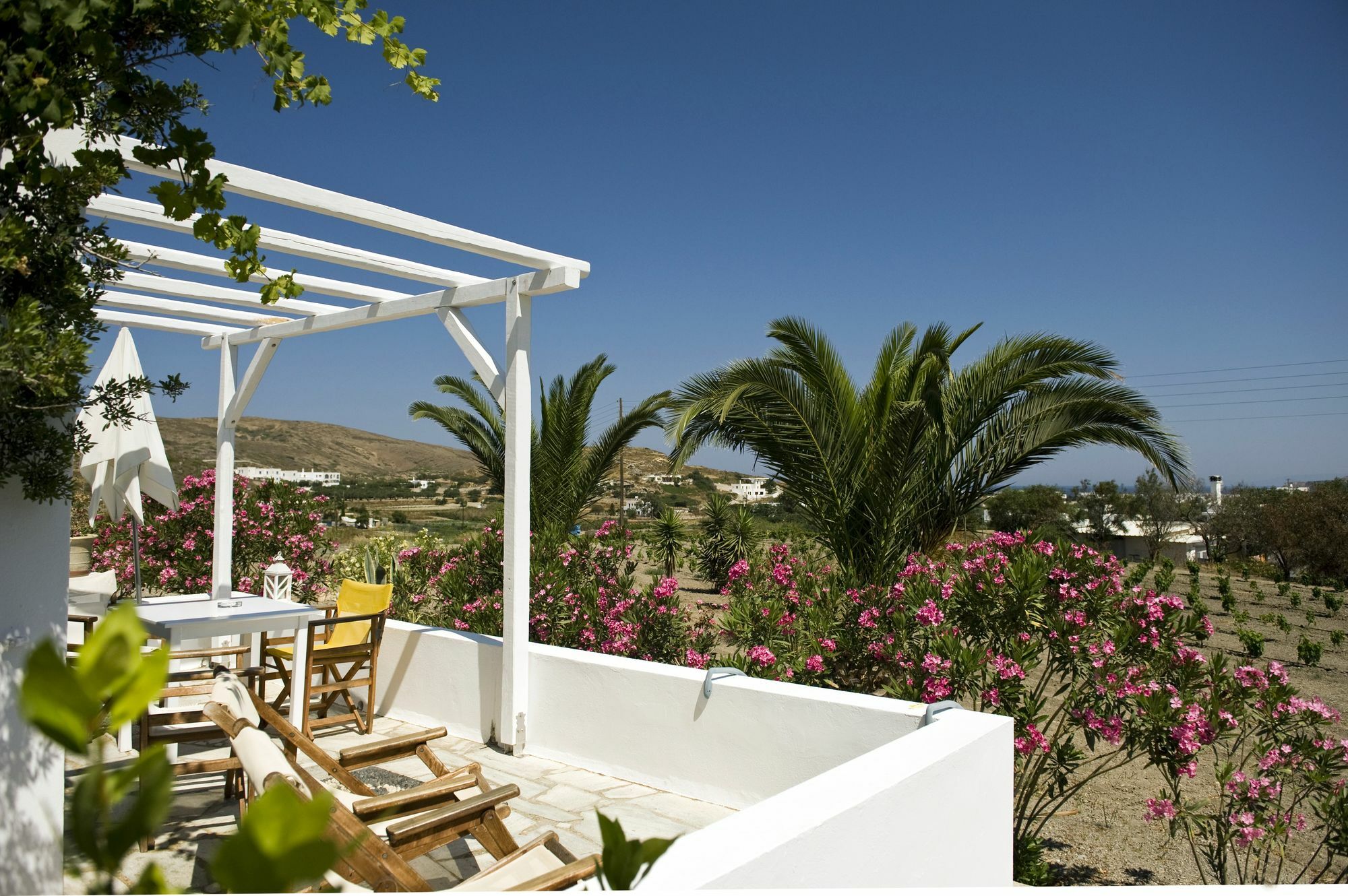 Kostantakis Winery Estate Guest House Pollonia ภายนอก รูปภาพ
